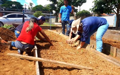 Alunos da Escola Paulo Freire aprendem horticultura na prática